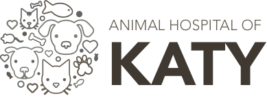 Animal Hospital of Katy